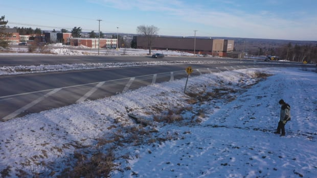 Fredericton councillors get glimpse at what long-awaited pedway could look like