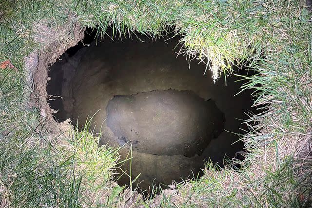 Authorities Determine How Grandma Who Fell into Sinkhole Died While Looking for Pet Cat