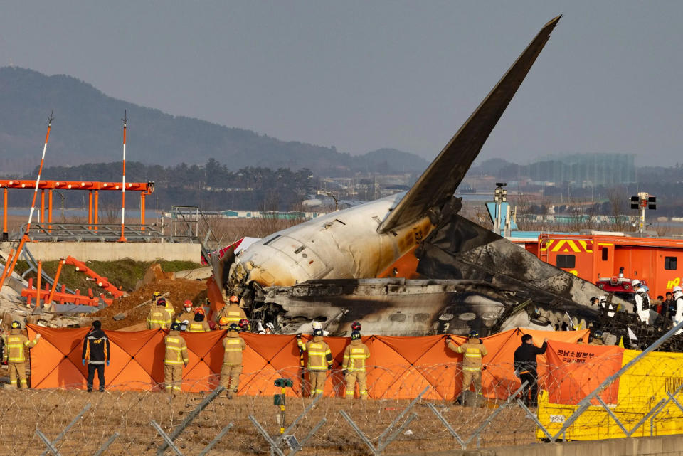 Aviation expert casts doubt on bird strike theory in deadly South Korean plane crash: 'Doesn't make sense'