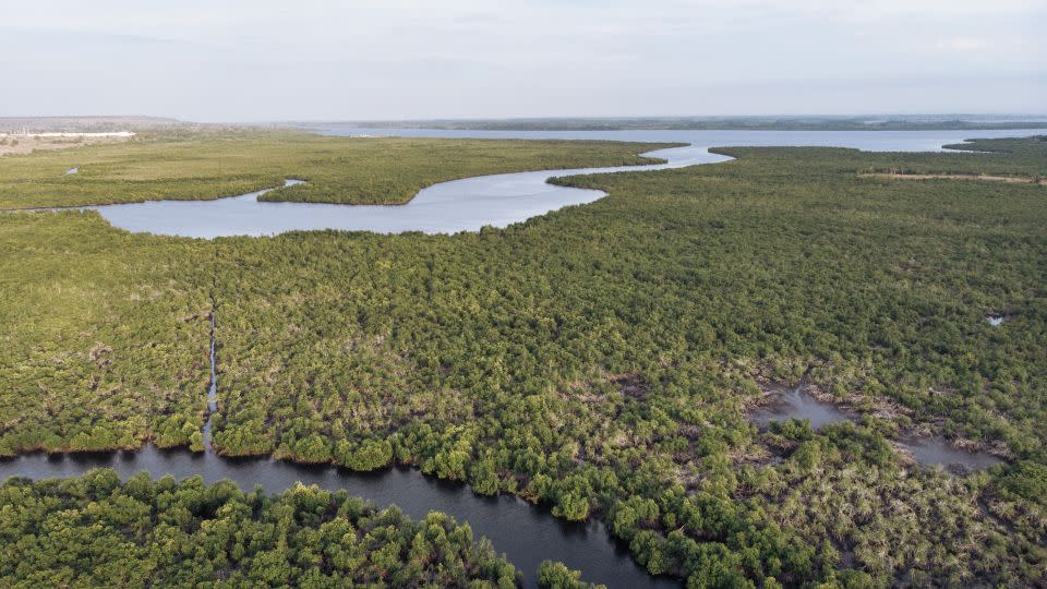 Scientists mapped the world’s rivers over 35 years. They found shocking changes