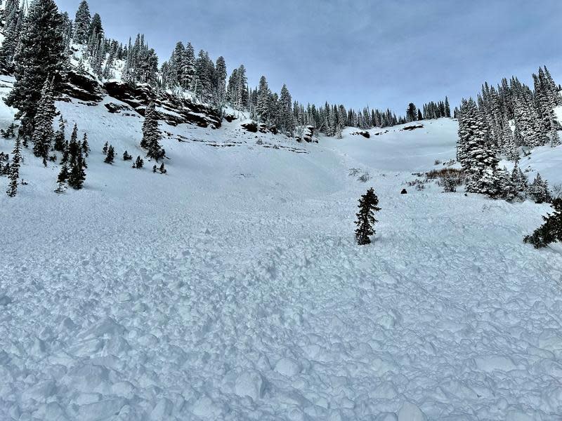 Utah man accidentally causes avalanche, rescues trapped brother