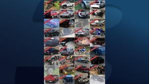 Williamson County Sheriff's Office recovers 32 stolen vehicles in two months. Here's a breakdown of cases... | Crime and Courts