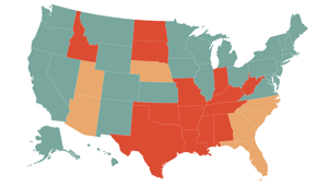 In states that ban abortion, social safety net programs often fail families | News