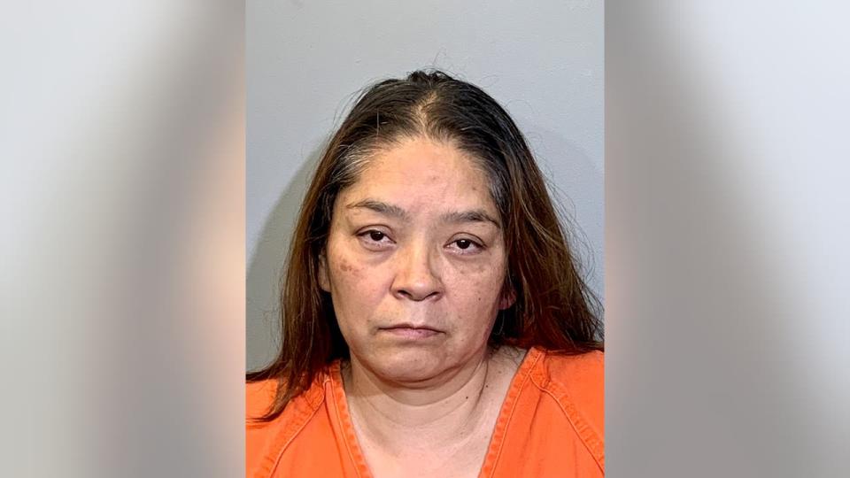 Plano police arrest woman who allegedly hit child and drove away