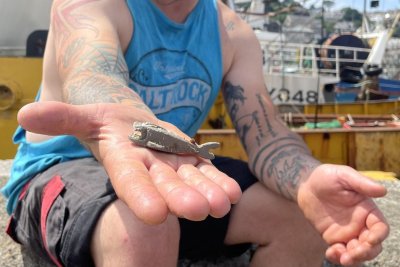 Look: Fisherman finds Lego shark lost into the ocean in 1997