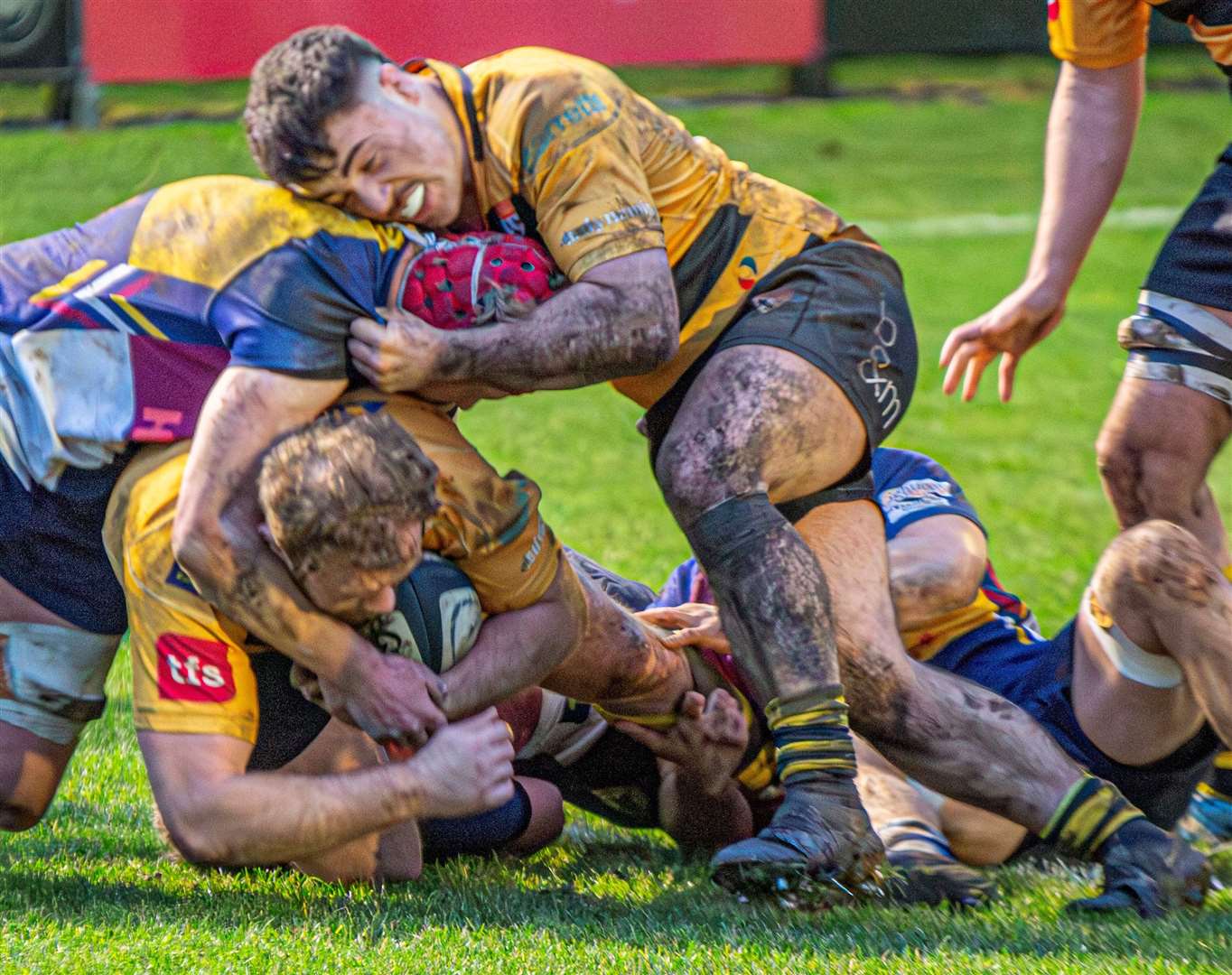 Canterbury Rugby Club hooker Eoin O'Donoghue praised by head coach Matt Corker after two-try display in 31-10 National League 2 East home win over Oxford Harlequins