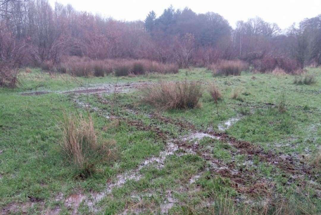 Quad bike “wreaks havoc” destroying habitats at Hothfield Nature Reserve near Ashford