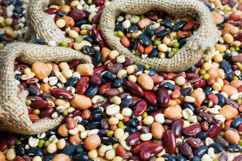 New USDA guidelines support beans, lentils for protein versus meat