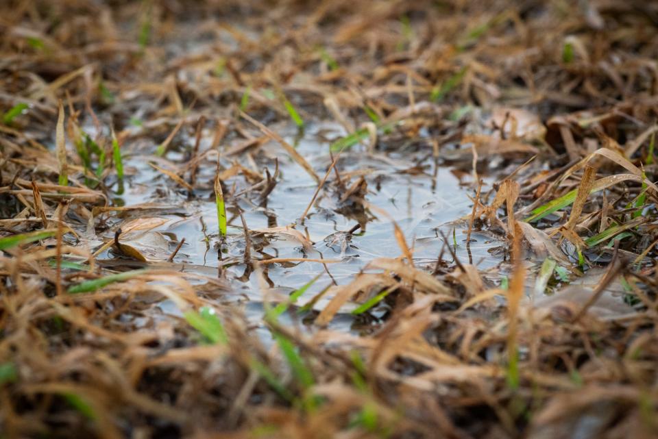 Fines for Corpus Christi drought restriction violations start soon. Here's what to know.