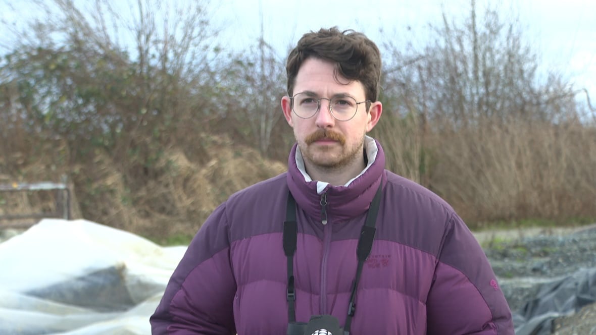 Binoculars in hand, B.C. birders unite for the annual Christmas Bird Count