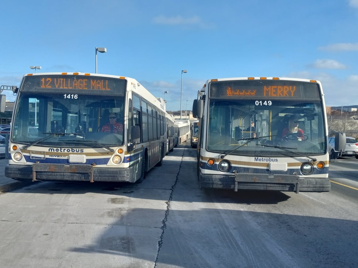 New electric buses doesn't mean Metrobus should haul diesel buses off the road, advocate says