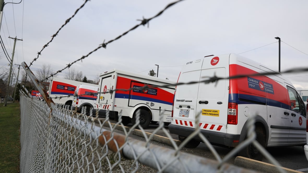 No voter information cards for upcoming B.C. byelection due to Canada Post strike