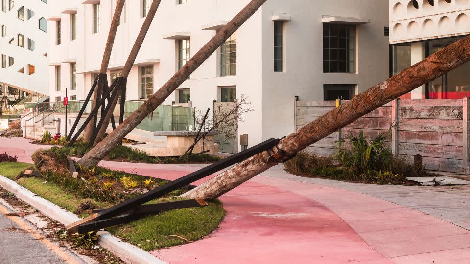 Anastasia Samoylova on photographing Florida’s climate anxiety