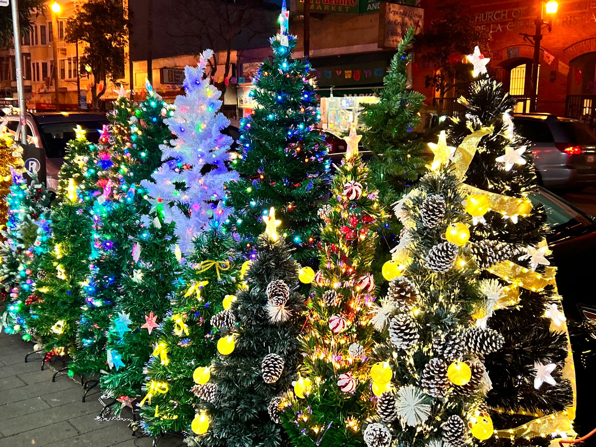 Christmas Eve Around the Bay: Christmas Tree Retailer Clancy’s Faces Uncertain Future at Inner Sunset Home