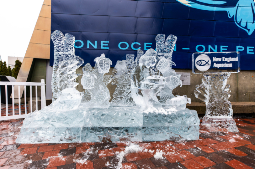 Huge sea turtle ice sculpture will be part of annual New Year's Eve ice stroll in Boston