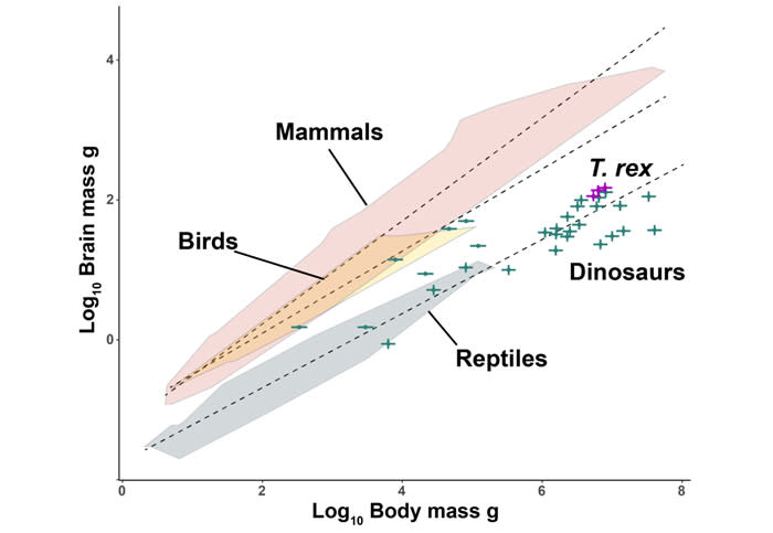 We've Probably Been Wrong About T. Rex Again, Study Says