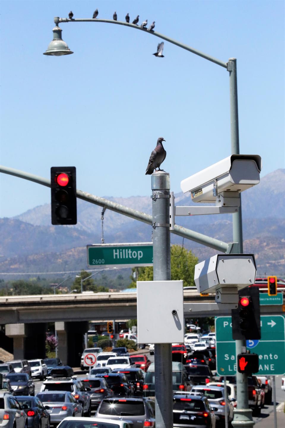 Redding shows double-digit rise in traffic red light camera violations