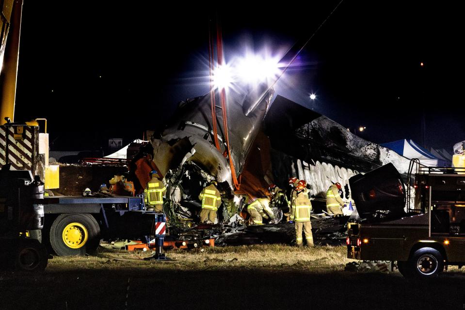 Crashed South Korean Flight Was Warned of Bird Strike—But Questions Remain