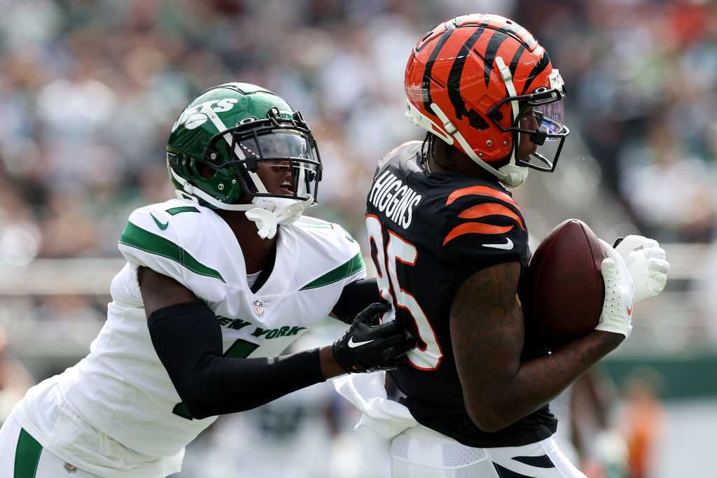 Former Bearcat sounds off on Tee Higgins' future in Cincinnati