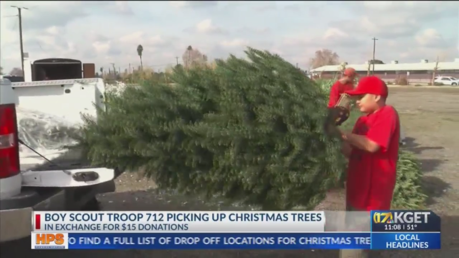 Boy Scout Troop 712 picking up Christmas trees until Jan. 12