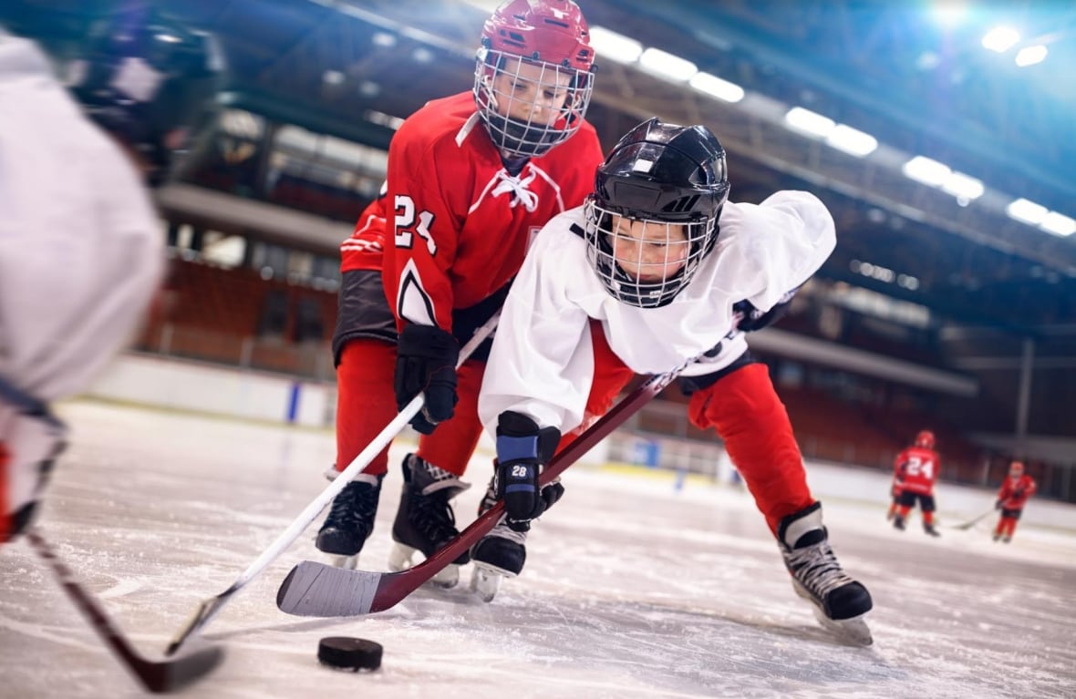 Possible Alberta hockey shakeup a 'radical change' likely to draw mixed feelings, says analyst