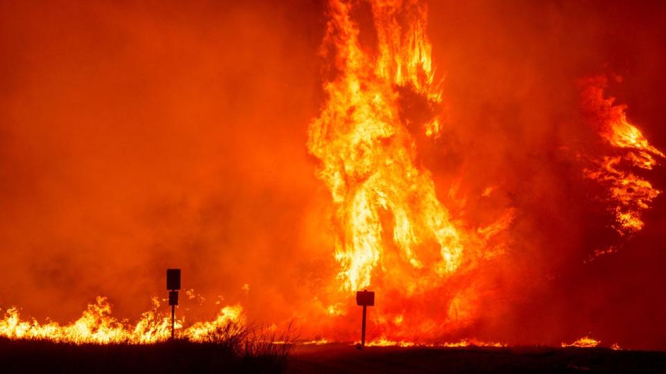 New Fires Sparked In Southern California; Evacuations Ordered For Blaze Near San Diego