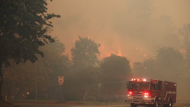 Thousands flee as wildfire whips through L.A. hillsides