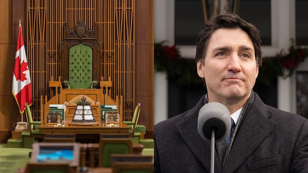 Trudeau's move to suspend Parliament faces a legal challenge. Don't hold your breath for a win, experts say