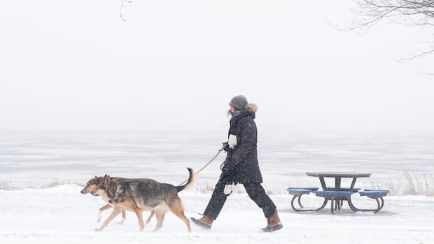 Quebec braces for cold snap as Arctic air mass takes hold