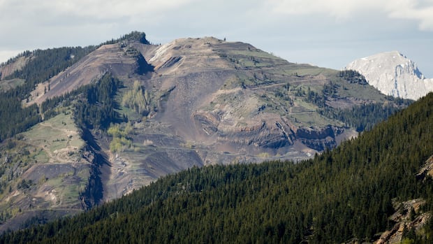 Member of Alberta coal mining committee feeling 'disgust and dismay' over new plan