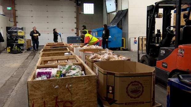 Saskatoon company's app helps food banks track inventory and reduce waste