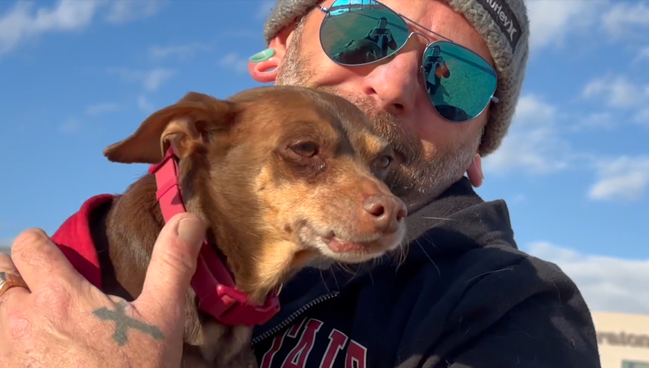 Dog reunites with owner after eight years apart