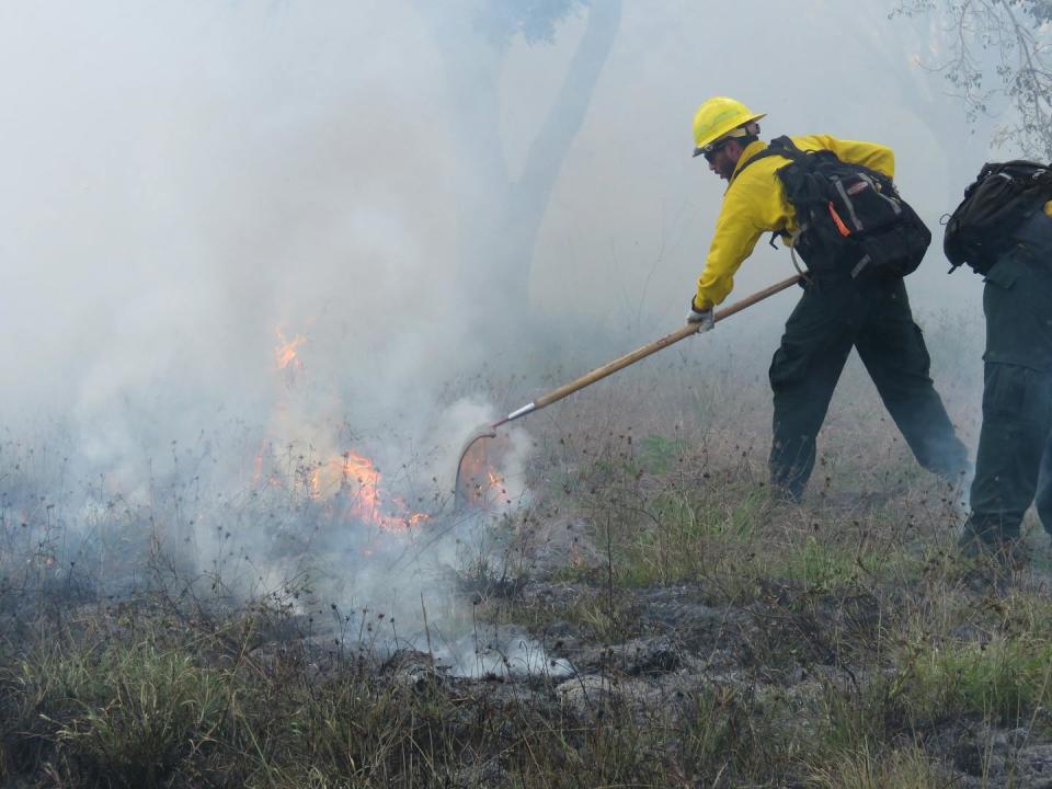 Human use of fire has produced an era of uncontrolled burning: Welcome to the Pyrocene