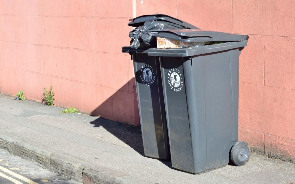 ‘Mad’ Green Party council wants to collect black bin bags once a month