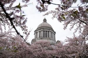 RIP: Bills that didn’t survive the WA Legislature’s first major deadline | News