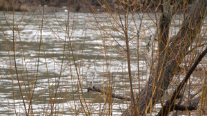 Less snow this winter could impact your summer fun on the Spokane River | News