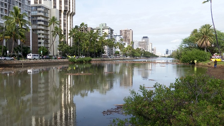 Ala Wai sees tremendous 24 hour transformation