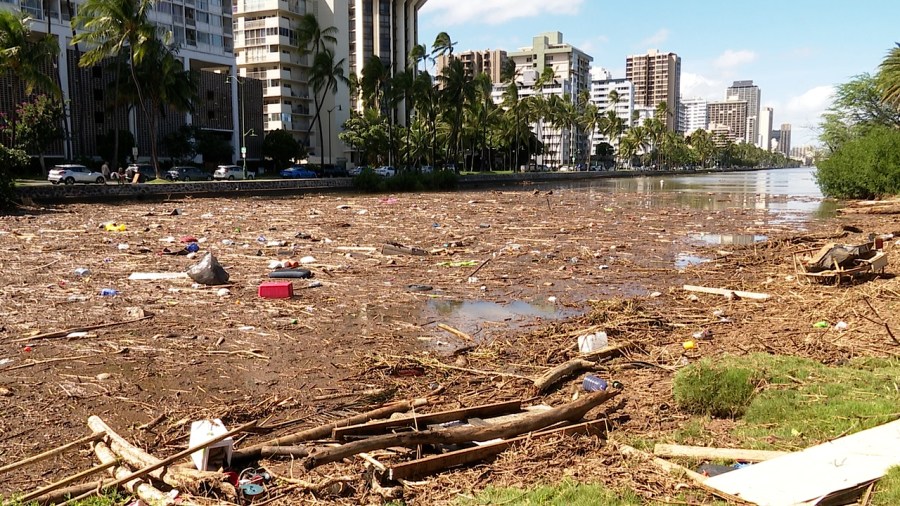 Ala Wai looks like 'one disaster' after rain, debris runoff