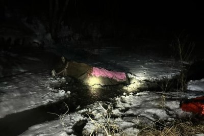 Watch: Firefighters rescue 600-pound donkey that fell through ice