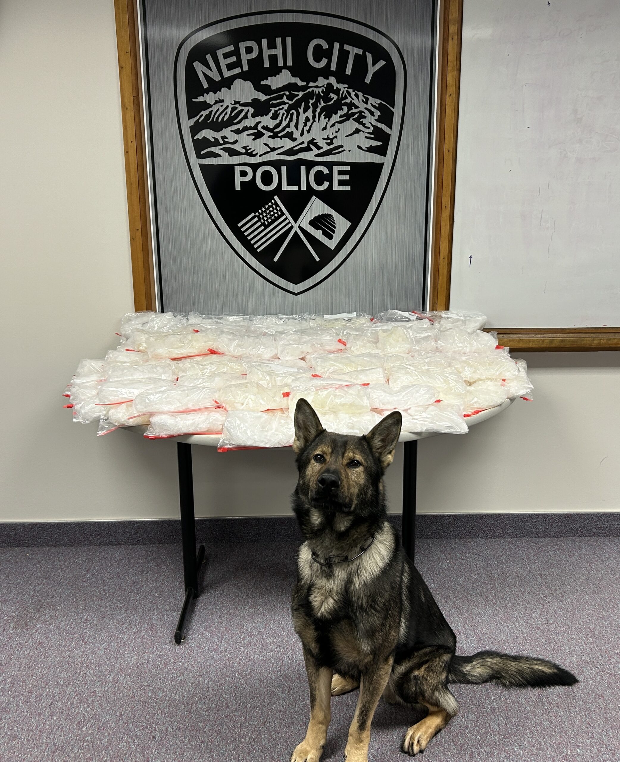 Police seize more than $900K in illegal drugs during traffic stop