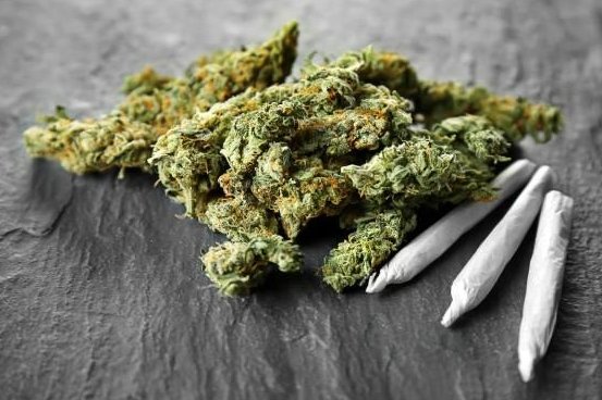 Medical marijuana users can become addicted to pot, study says