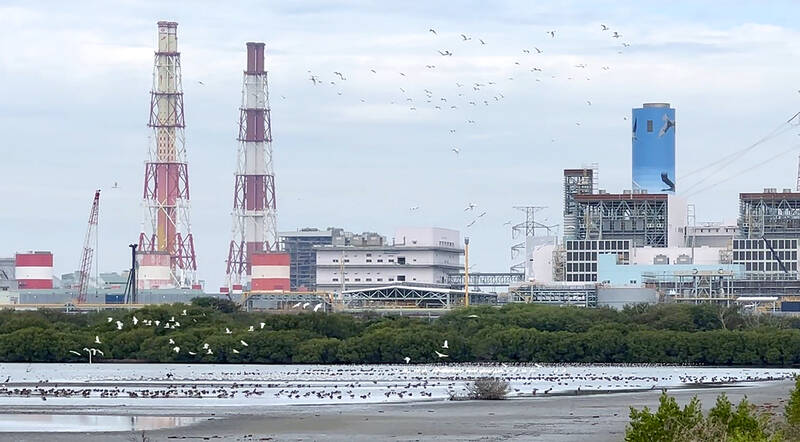 Taipower touts wetland sanctuary for migratory birds