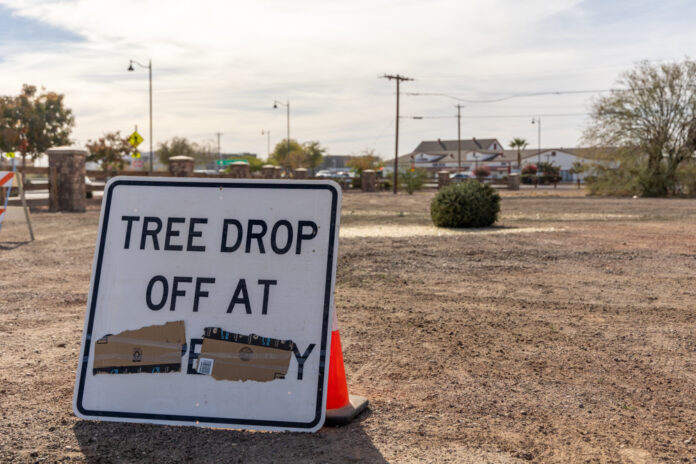 Free Christmas tree disposal in Maricopa