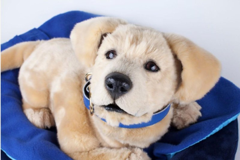 Robotic puppy, shown at electronics trade show, seen as boon for mental health