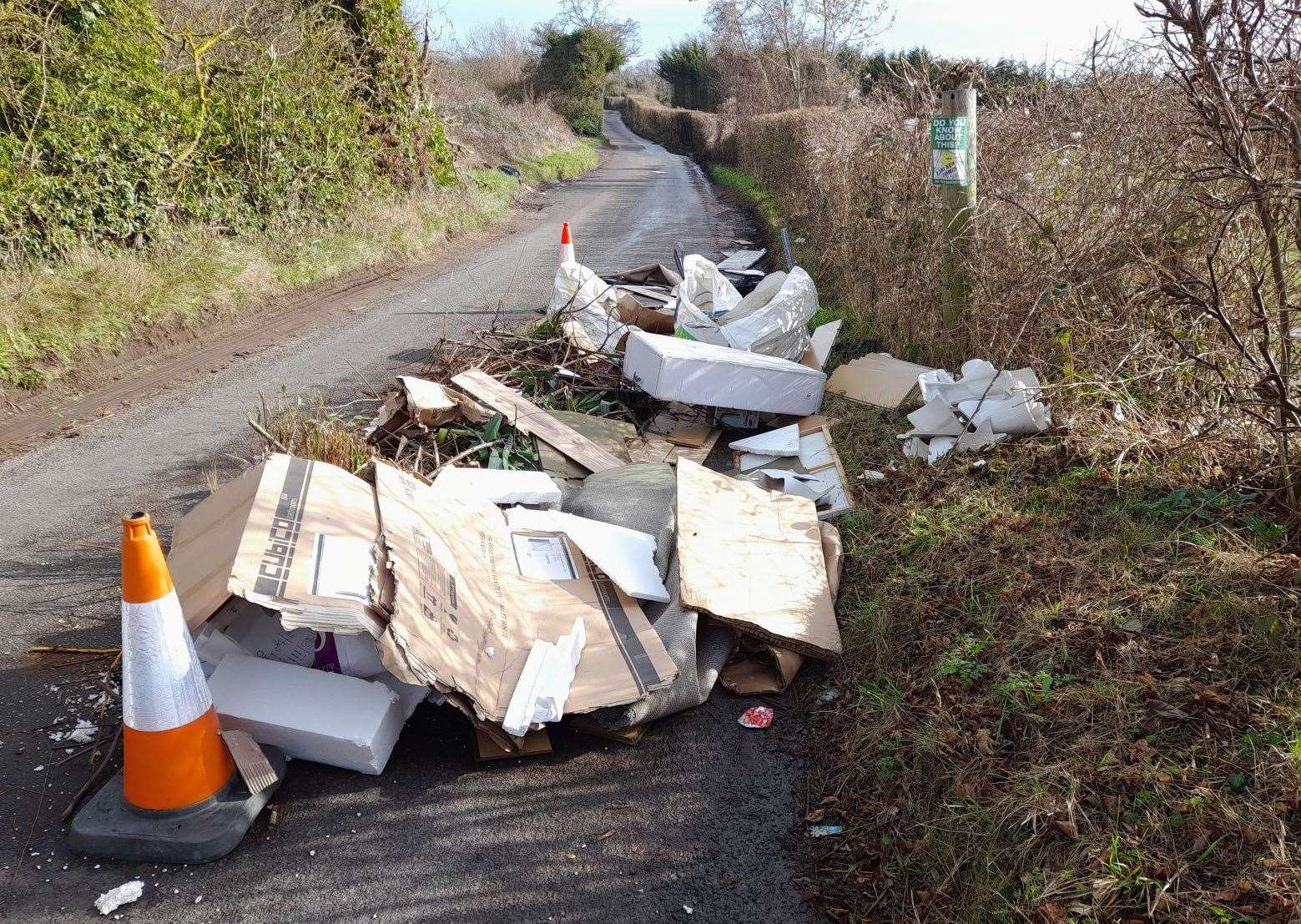 Bespoke Swimming Pools owner fined after witness filmed fly-tipping incident in Crockenhill Lane, Eynsford