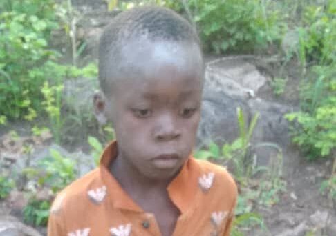 Missing boy found by rangers after wandering for 5 days in lion-infested game park – The Zimbabwe Mail