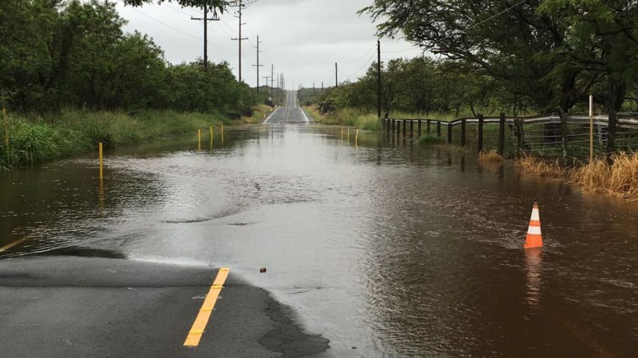 How the City plans to provide free rainwater capture solutions for Oahu residents