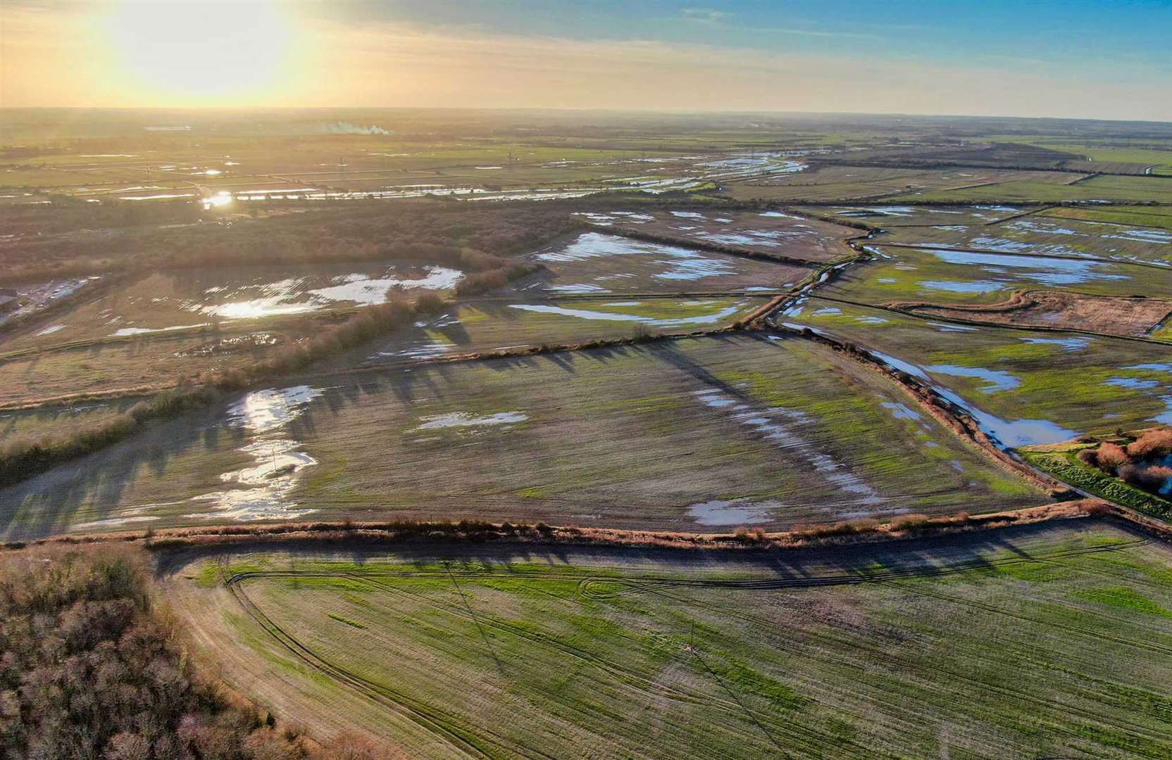 National Grid accused of ‘destroying precious habitat' in Minster and Pegwell Bay