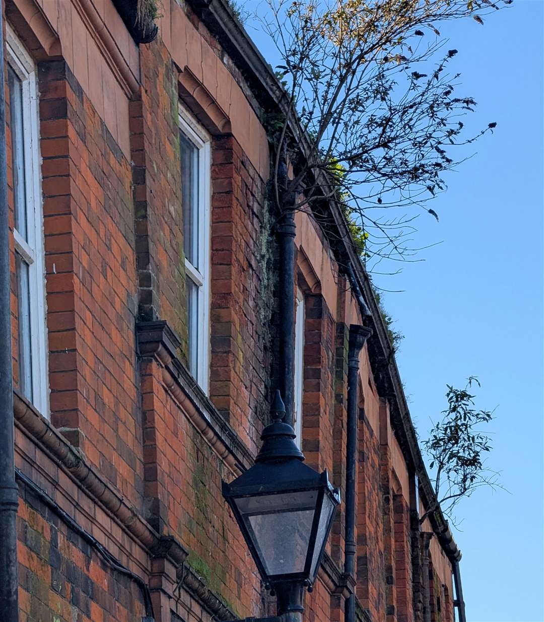 Neighbours evacuated amid fears ‘tilting’ building in Dover’s Flying Horse Lane could collapse