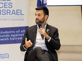 'My country:' This Arab fights for Israel